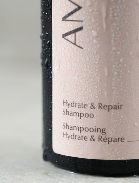 Hydrate & Repair Shampoo